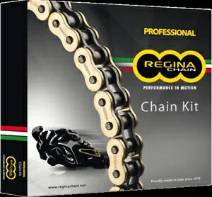 レジーナ 7ZRE/118KSU031 チェーンキット SUZ DL650 REGINA 7ZRE/118KSU031 CHAIN KIT SUZ DL650 【並行輸入品】
