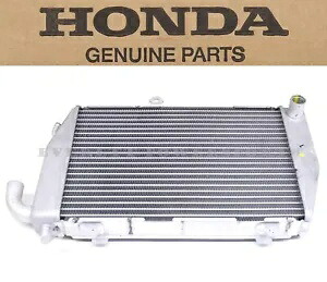 左側ラジエーター GL1800 06-17 ゴールドウィングおよび F6B OEM 純正ホンダ #V91* Left Side Radiator GL1800 06-17 Goldwing and F6B OEM Genuine Honda #V91* 【並行輸入品】