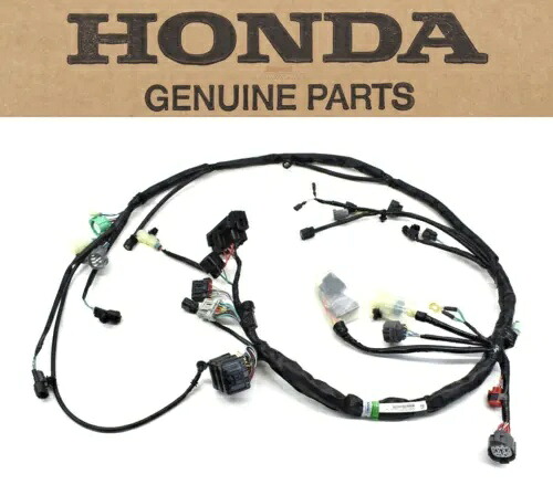 ワイヤーハーネス 09-13 TRX420 FM Rancher OEM 純正ホンダメイン配線織機 #H240 Wire Harness 09-13 TRX420 FM Rancher OEM Genuine Honda Main Wiring Loom #H240 【並行輸入品】