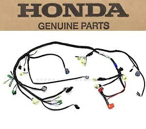 ワイヤーハーネス 98-01 TRX450 フォアマン ES OEM 純正ホンダメイン配線織機 #R206 Wire Harness 98-01 TRX450 Foreman ES OEM Genuine Honda Main Wiring Loom #R206 【並行輸入品】