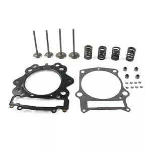シリンダー吸排気バルブキット ヤマハ ラプター 700 YFM700R 2006-2020用 Cylinder Intake Exhaust Valve Kit For Yamaha Raptor 700 YFM700R 2006-2020 【並行輸入品】