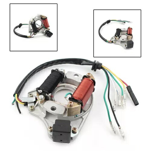 ステーターマグネト 2 コイル 50cc 110cc 125cc ATV クワッド Taotao Coolster Qiye 用 Stator Magneto 2 Coil for 50cc 110cc 125cc ATV Quad Taotao Coolster Qiye 【並行輸入品】