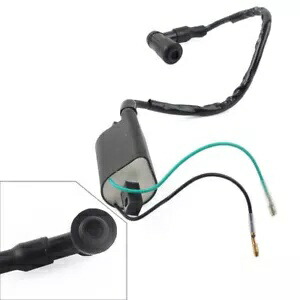 6 ボルト点火コイルホンダ S90 CB100 CL100 CL90 SL100 SL125 S110 XL100 6 Volt Ignition Coil For Honda S90 CB100 CL100 CL90 SL100 SL125 S110 XL100 【並行輸入品】