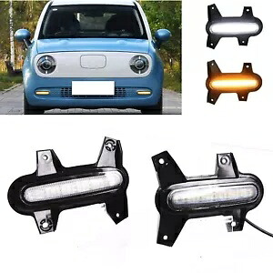 2018 2019 2020 2021-2022 ORA R1 2 色フロント LED デイタイムランニングライト For 2018 2019 2020 2021-2022 ORA R1 2 Colors Front LED Daytime Running Lights 【並行輸入品】