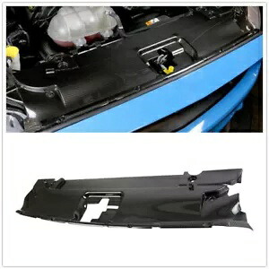 カーボンファイバー車のラジエーター冷却プレート 2015-2017 フォードマスタング新 1 個 Carbon Fiber Car Radiator Cooling Plate For 2015-2017 Ford Mustang New 1PCS 【並行輸入品】 65,945円