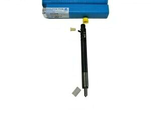 Tata 2.2 L Dicor コモン レール インジェクター: 28280600 EJBR04901D 純正 Delphi-4 ユニット Tata 2.2 L Dicor Common Rail Injector: 28280600 EJBR04901D Genuine Delphi-4Units 【並行輸入品】