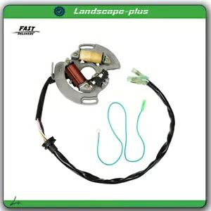 ジェネレーターステーターヤマハブラスター 200 YFS200 2003 2004 2005 2006 2006 に適合 Generator Stator Fit for Yamaha Blaster 200 YFS200 2003 2004 2005 2006 2006 【並行輸入品】