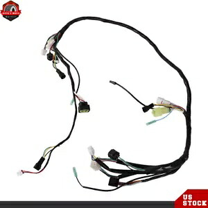 ワイヤー配線ハーネス ヤマハ ラプター 350 YFM350R 04-13 5YT-82590-00-00 US Wire Wiring Harness for Yamaha Raptor 350 YFM350R 04-13 5YT-82590-00-00 US 【並行輸入品】 35,035円