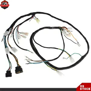 新しいワイヤーハーネスヤマハウォリアー 350 YFM350X 1997 1998 1999 2000 2001 New Wire Harness For Yamaha Warrior 350 YFM350X 1997 1998 1999 2000 2001 【並行輸入品】 32,890円