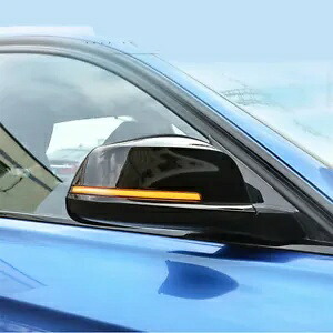 タンサイドミラーライトシーケンシャル点滅ターンシグナルライト BMW 5 6 7 シリーズ DNN Tan Side Mirror Light Sequential Blink Turn Signal Light For BMW 5 6 7 Serie DNN 【並行輸入品】