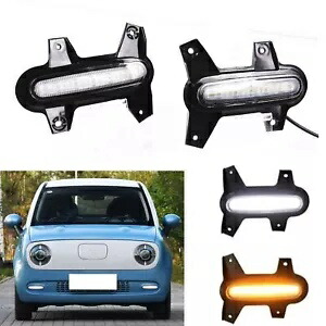 新しいフロントサイド LED デイタイムランニングライトランプボディキット ORA R1 2 色 2 個 New Front Side LED Daytime Running Lights Lamp Body Kit For ORA R1 2 Colors 2pcs 【並行輸入品】