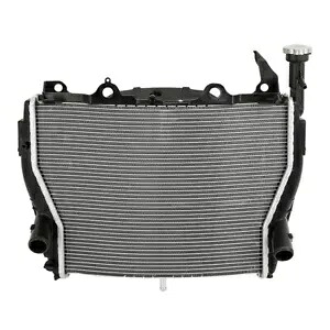 ラジエーター クーラー冷却 BMW S1000RR 2009-2018 HP4 レース 2018 に適合 Radiator Cooler Cooling Fit For BMW S1000RR 2009-2018 HP4 RACE 2018 【並行輸入品】