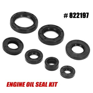 エンジンオイルシールキット ヤマハ BW80 1986-1990 PW80 1983-2006 ダートバイク 822197 Engine Oil Seal Kit For Yamaha BW80 1986-1990 PW80 1983-2006 Dirt Bike 822197 【並行輸入品】