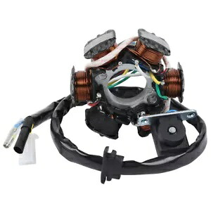 6 極ステータ点火コイルスクーター ATV ゴーカート原付 GY6 150cc エンジンに適合 6 Pole Stator Ignition Coil Fit For Scooter ATV Go Kart Moped GY6 150cc Engine 【並行輸入品】