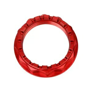 リアスプロケットフランジナットドゥカティ 1098 1198 パニガーレ 899 959 1199 1299/S/R V2 Rear Sprocket Flange Nut For DUCATI 1098 1198 Panigale 899 959 1199 1299/S/R V2 【並行輸入品】