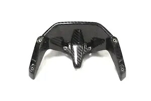 2015 - 2016 BMW F800R カーボンファイバー ステー ブラケット 2015 - 2016 BMW F800R Carbon Fiber Stay Bracket 【並行輸入品】