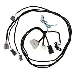 EG シビック & DC2 インテグラ K20 K24 K-Swap 用変換ハーネス Conversion Harness for EG Civic & DC2 Integra K20 K24 K-Swap 【並行輸入品】 44,330円