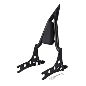 後部乗客用バックレスト シーシーバー インディアン ロードマスター チーフテン ダークホースに適合 Rear Passenger Backrest Sissy Bar Fit For Indian Roadmaster Chieftain Dark Horse 【並行輸入品】