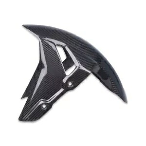 DS BMW 2020-2023 S1000RR フロントフェンダー 2020+ S1000R 2021+ M1000RR カーボンファイバー DS BMW 2020-2023 S1000RR Front Fender 2020+ S1000R 2021+ M1000RR Carbon Fiber 【並行輸入品】