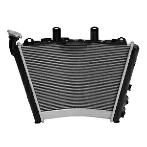 ラジエーター クーラー冷却 BMW M1000RR S1000R 2021-2024 S1000RR 2019-2024に適合 Radiator Cooler Cooling Fit For BMW M1000RR S1000R 2021-2024 S1000RR 2019-2024 【並行輸入品】