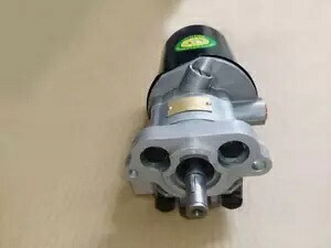 マッセイファーガソンパワーステアリングポンプ 50C 165 290 275 255 282 265 897146M95 For Massey Ferguson Power Steering Pump 50C 165 290 275 255 282 265 897146M95 【並行輸入品】