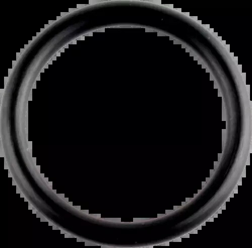 WSM 008-600-04 クランクケース O リング - Sea Doo WSM 008-600-04 Crankcase O-Ring - Sea Doo 【並行輸入品】