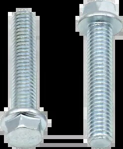 BOLT 024-10630 ボルト - フランジ - M6 x 30 - 10 個パック BOLT 024-10630 Bolts - Flange - M6 x 30 - 10-Pack 【並行輸入品】|カスタムパーツ WORLD倉庫