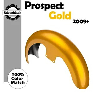プロスペクトゴールド 21 インチ リビールラッパーハガー フロントフェンダー ハーレーストリートロード 09+ に適合 Prospect Gold 21\