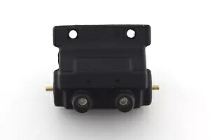 HARLEY Accel ブラック パワー パルス 12 ボルト コイル 1965-1983 XL、1965-1984 FL、1 に適合 HARLEY Accel Black Power Pulse 12 Volt Coil fits 1965-1983 XL, 1965-1984 FL, 1 【並行輸入品】 67,760円