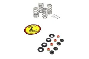 HARLEY Beehive バルブスプリングキットは、2005-2017 FXST、2005-2017 FLST、2005-2017 に適合します。 HARLEY Beehive Valve Spring Kit fits 2005-2017 FXST, 2005-2017 FLST, 2005-2017 【並行輸入品】|カスタムパーツ WORLD倉庫