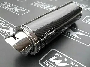 Pipewerx トライアンフ 955i 2003-2004 GP3 Moto GP カーボン、レースエキゾーストカン、サイレンサー Pipewerx Triumph 955i 2003-2004 GP3 Moto GP Carbon, Race Exhaust Can,Silencer 【並行輸入品】