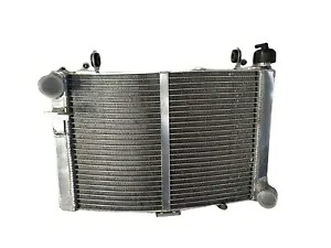 KTM 1290 Super Duke GT 2016-2023 2017 2018 用アルミラジエーター Aluminum Radiator for KTM 1290 Super Duke GT 2016-2023 2017 2018 【並行輸入品】