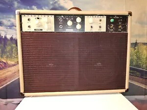 Magnatone チューブ ギター アンプ カスタム 260 2x10 ビブラート 6L6 出力 1960 年代 Estey HB Magnatone Tube Guitar Amp Custom 260 2x10 Vibrato 6L6 Outputs 1960\'s Estey HB 【並行輸入品】｜カスタムパーツ WORLD倉庫