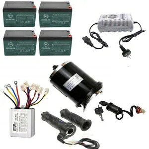48V 1000W ブラシ DC モーターキット スクーター E バイク ATV クワッド ゴルフカート ゴーカート トライク用 48V 1000W Brush DC Motor kit for Scooter E bike ATV Quad Golf Cart Go kart Trike 【並行輸入品】
