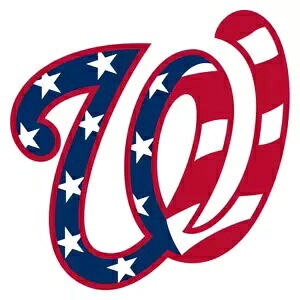 ワシントン・ナショナルズ デカール ~ ビニール 車用ウォール ステッカー - 壁、S ～ XL Washington Nationals Decal ~ Vinyl Car Wall Sticker - Wall, Small to XLarge 【並行輸入品】