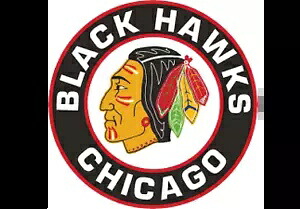 シカゴ・ブラックホークス ブラックホークス デカール D2 ~ ビニール - 車 - 壁、S ～ XLarge Chicago Blackhawks Black Hawks Decal D2 ~ Vinyl- Car - Wall, Small to XLarge 【並行輸入品】