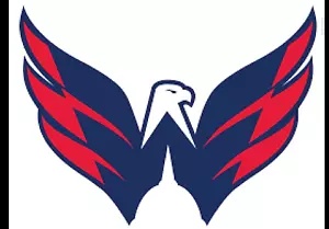 ワシントン キャピタルズ D2 ～ ビニール車 - 壁、S ～ L Washington Capitals D2 ~ Vinyl- Car - Wall, Small to XLarge 【並行輸入品】