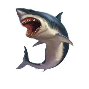 ホホジロザメ デカール ~ ビニール車用ウォール ステッカー - S ～ XL Great White Shark Decal ~ Vinyl Car Wall Sticker - Small to XLarge 【並行輸入品】