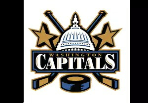ワシントン キャピタルズ D3 ～ ビニール車 - 壁、S ～ L Washington Capitals D3 ~ Vinyl- Car - Wall, Small to XLarge 【並行輸入品】