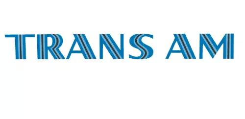 トランザム デカール ~ ビニール カー ウォール ステッカー - S ～ XLarge D2 Trans Am Decal ~ Vinyl Car Wall Sticker - Small to XLarge D2 【並行輸入品】