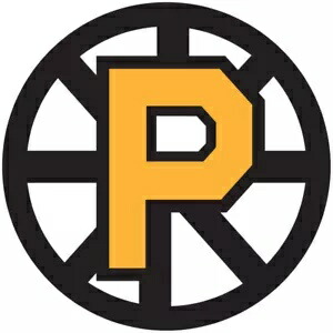 プロビデンス・ブルーインズ AHL デカール ~ ビニール Providence Bruins AHL Decal ~ Vinyl 【並行輸入品】