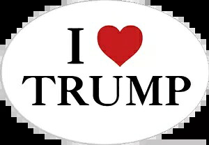 I Love トランプ デカール ~ ビニール車用ウォール デカール D2 I Love Trump Decal ~ Vinyl Car Wall Decal D2 【並行輸入品】