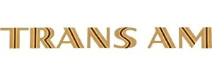 トランザム デカール ~ ビニール製車用ウォール ステッカー - S ～ XL Trans Am Decal ~ Vinyl Car Wall Sticker - Small to XLarge 【並行輸入品】