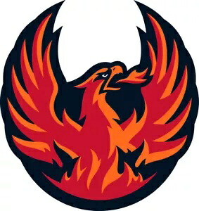 Coachella Valley Firebirds AHL デカール ~ ビニール Coachella Valley Firebirds AHL Decal ~ Vinyl 【並行輸入品】