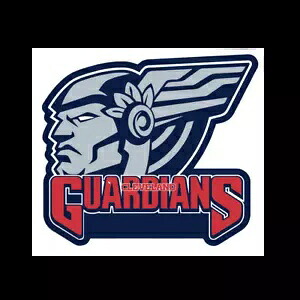 クリーブランド ガーディアンズ デカール ~ ビニール 車 ウォール ステッカー - 壁、S ～ XL Cleveland Guardians Decal ~ Vinyl Car Wall Sticker - Wall, Small to XLarge 【並行輸入品】
