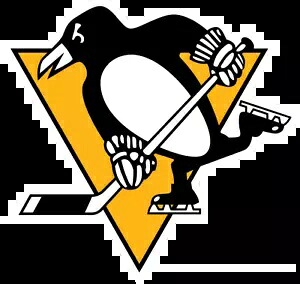 ピッツバーグ ペンギンズ デカール ~ ビニール カー ステッカー - 壁、S ~ XL Pittsburgh Penguins Decal ~ Vinyl Car Sticker - Wall, Small to XLarge 【並行輸入品】