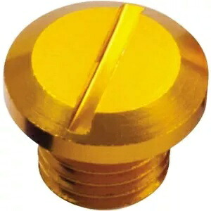 DRC - D41-06-509 - ミラーホールプラグ ゴールド DRC - D41-06-509 - Mirror Hole Plug, Gold 【並行輸入品】