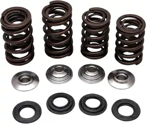 レーシング バルブ スプリング キット、チタン リテーナー、0.440 インチ リフト Kibblewhite 30-30640 Racing Valve Spring Kit, Titanium Retainers, 0.440\