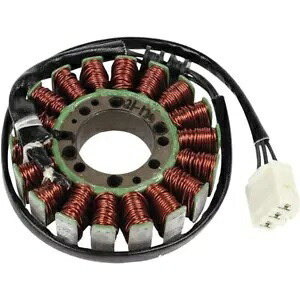 Rick's Motorsport Electrics ステーター - - 21-120 Rick's Motorsport Electrics Stator - - 21-120 【並行輸入品】
