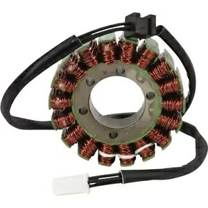 Rick's Motorsport Electrics ステーター - - 21-236 Rick's Motorsport Electrics Stator - - 21-236 【並行輸入品】
